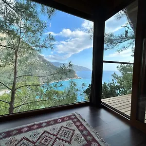 Kabak ütopya Faralya